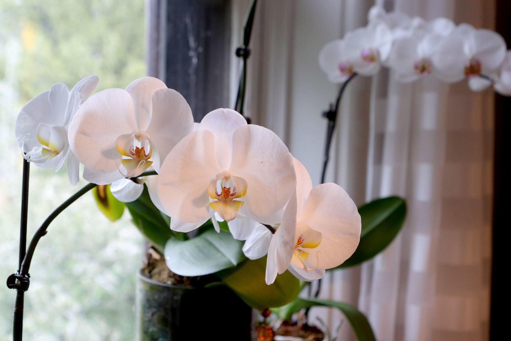 At home with Francisco Sanjurjo